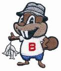 Beaver #109