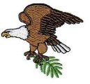 Eagle #106 