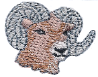 Ram Head #131